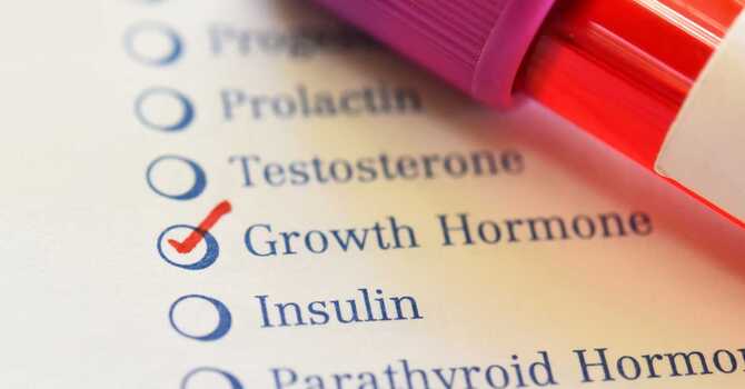 Understanding Dutch Testing and How it Can Help You Achieve Hormonal Balance image